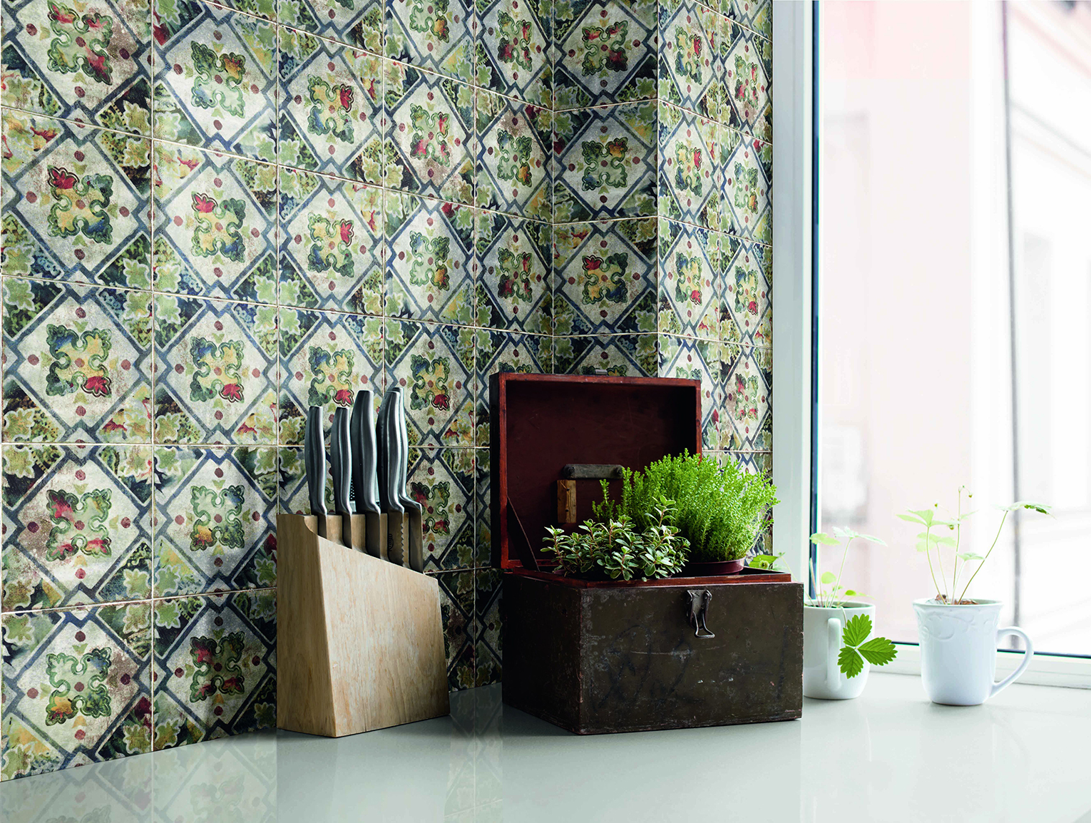 安培拉02花實景