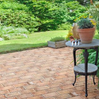 ELD-拉拉-01 實景