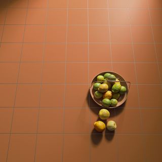 ELD-里沃利-03復古橘 20X20 實景圖 (3)