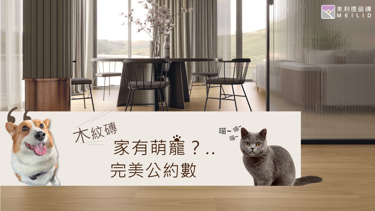 投影片1